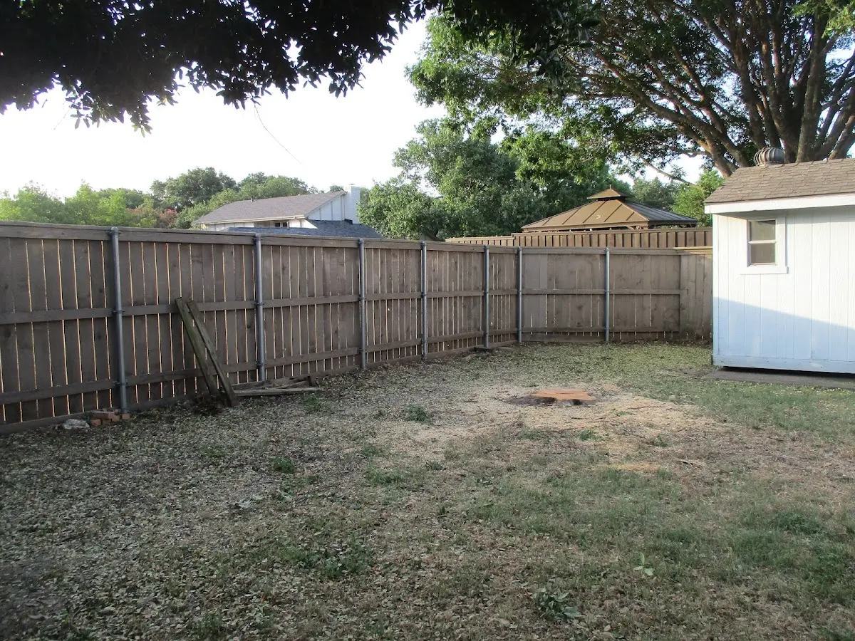 Cleared yard after professional tree removal in Danville